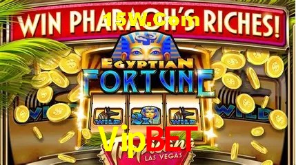 Sistemas de Segurança Vipbet