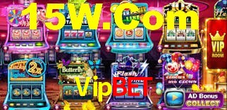 Bonus Features Vipbet